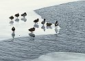 Åsunden vinter9